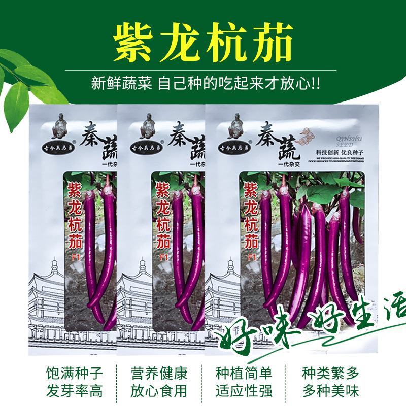 紫龙杭茄茄子种子，10克