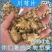 四川川芎无硫川芎片川芎中药材四川无硫老川手工精选