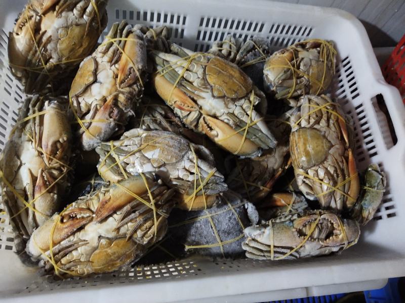 速冻青蟹，肉质饱满，物美价廉，欢迎采购