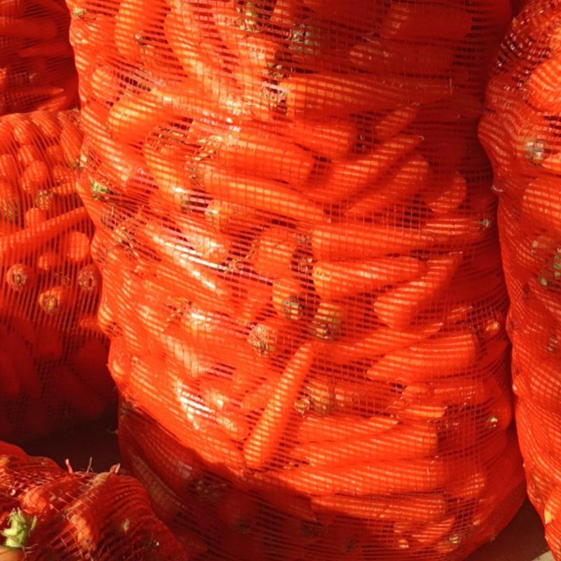 【三红胡萝卜】次品胡萝卜，养殖场，加工厂，牛，虫，羊