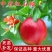 【推荐】苗圃直发石榴苗突尼斯软籽蒙阳红现挖现发死苗补发