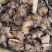大黄～质量保证～货源充足～1公斤起售～量大从优