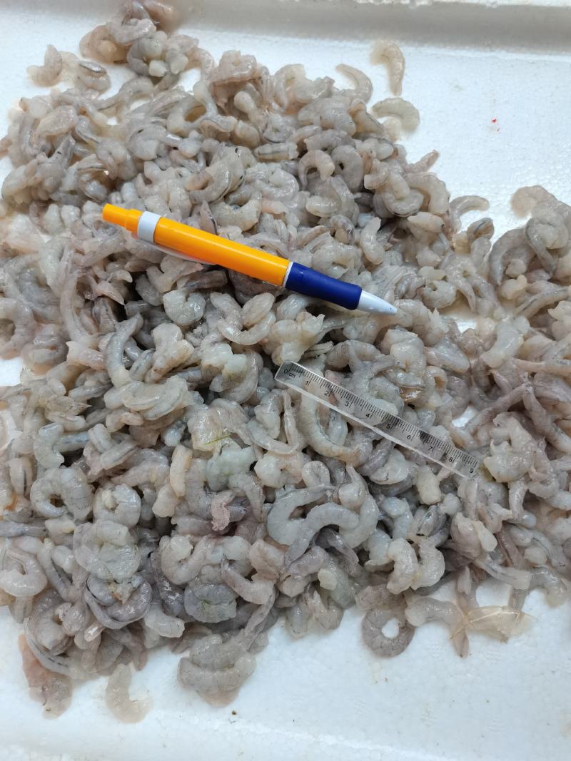 虾仁一手货源，每天有货，大量有货批发零售