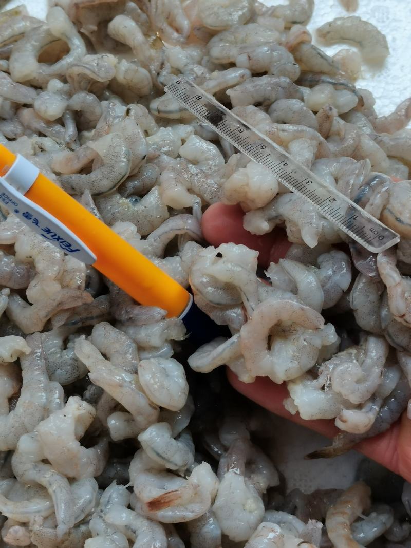 虾仁一手货源，每天有货，大量有货批发零售