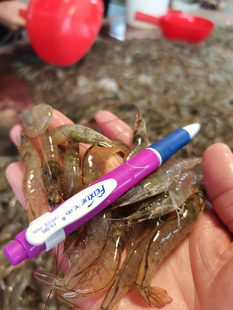 虾仁一手货源，每天有货，大量有货批发零售