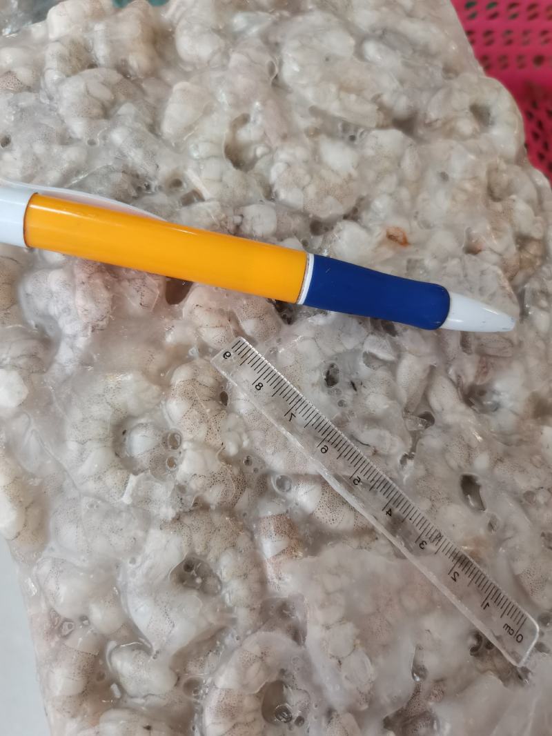 虾仁一手货源，每天有货，大量有货批发零售