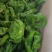 B级次品黄皮椒，次品，b级椒菜椒，量大质优，b级