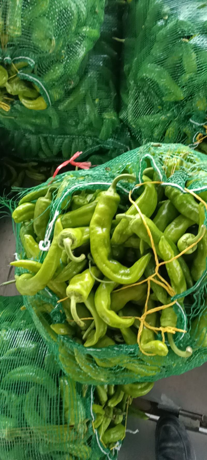 B级次品黄皮椒，次品，b级椒菜椒，量大质优，b级
