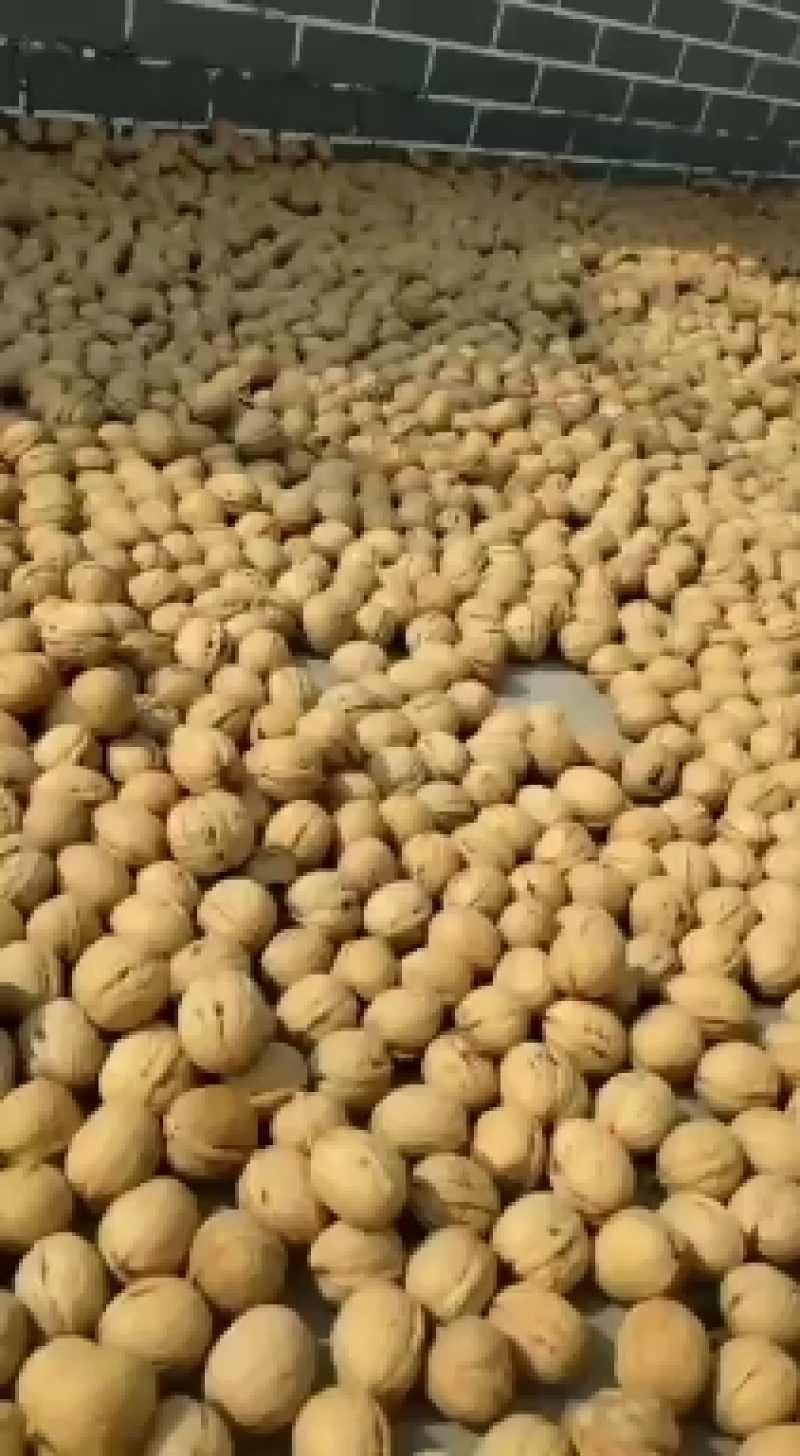 纸皮核桃产地直销，规格品种齐全，价位底！