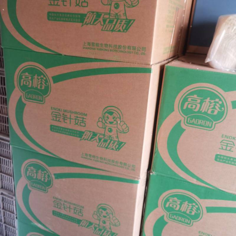 厂家代理高榕金针菇直销