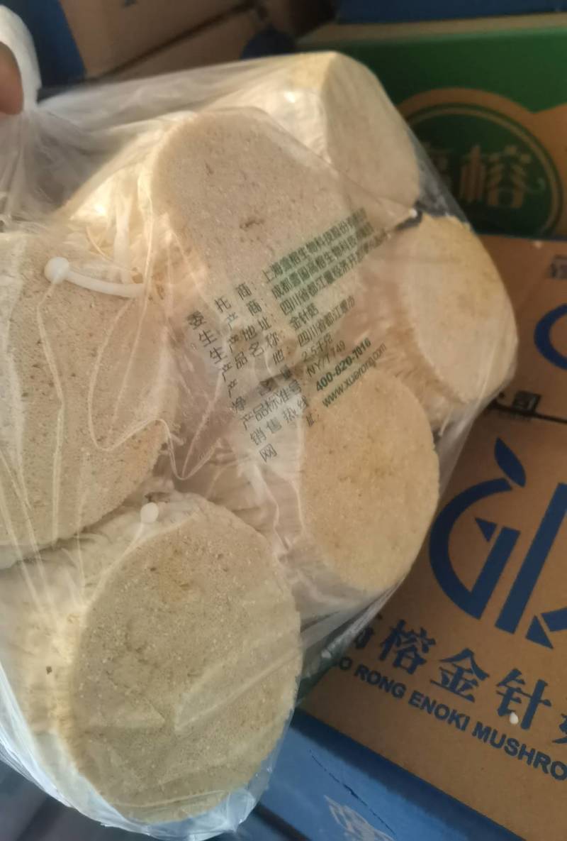 厂家代理高榕金针菇直销