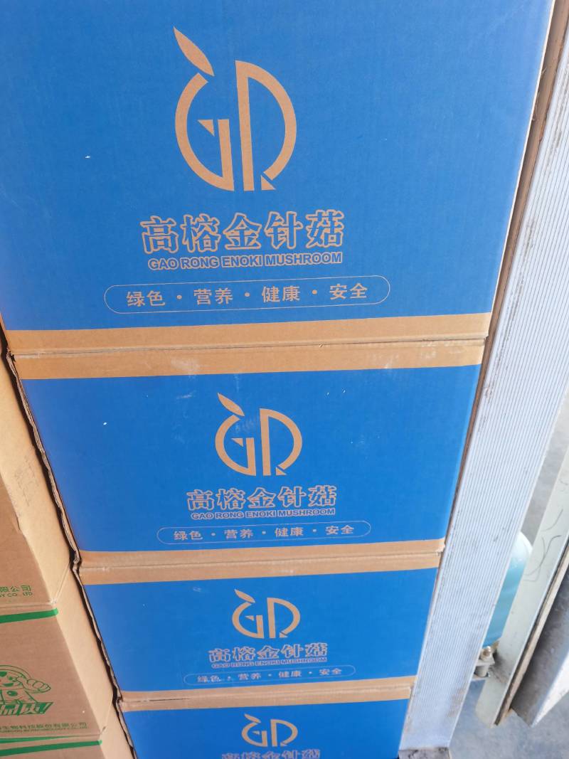 厂家代理高榕金针菇直销