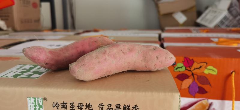 番薯喜温、怕冷、不耐寒，适宜的生长温度为22-30。