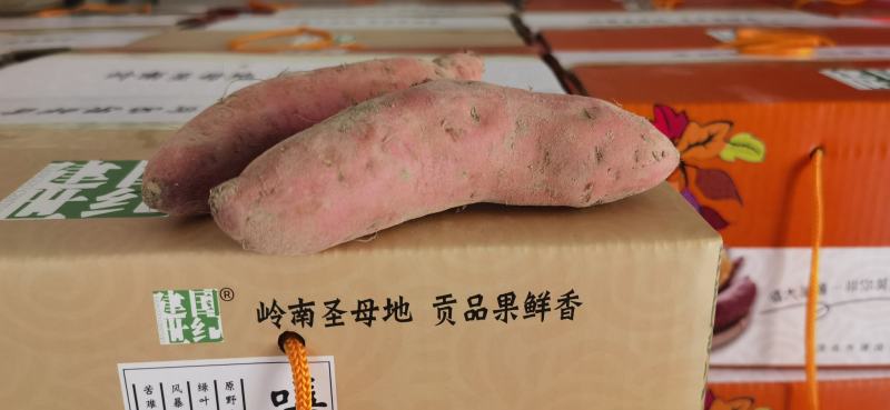 番薯喜温、怕冷、不耐寒，适宜的生长温度为22-30。