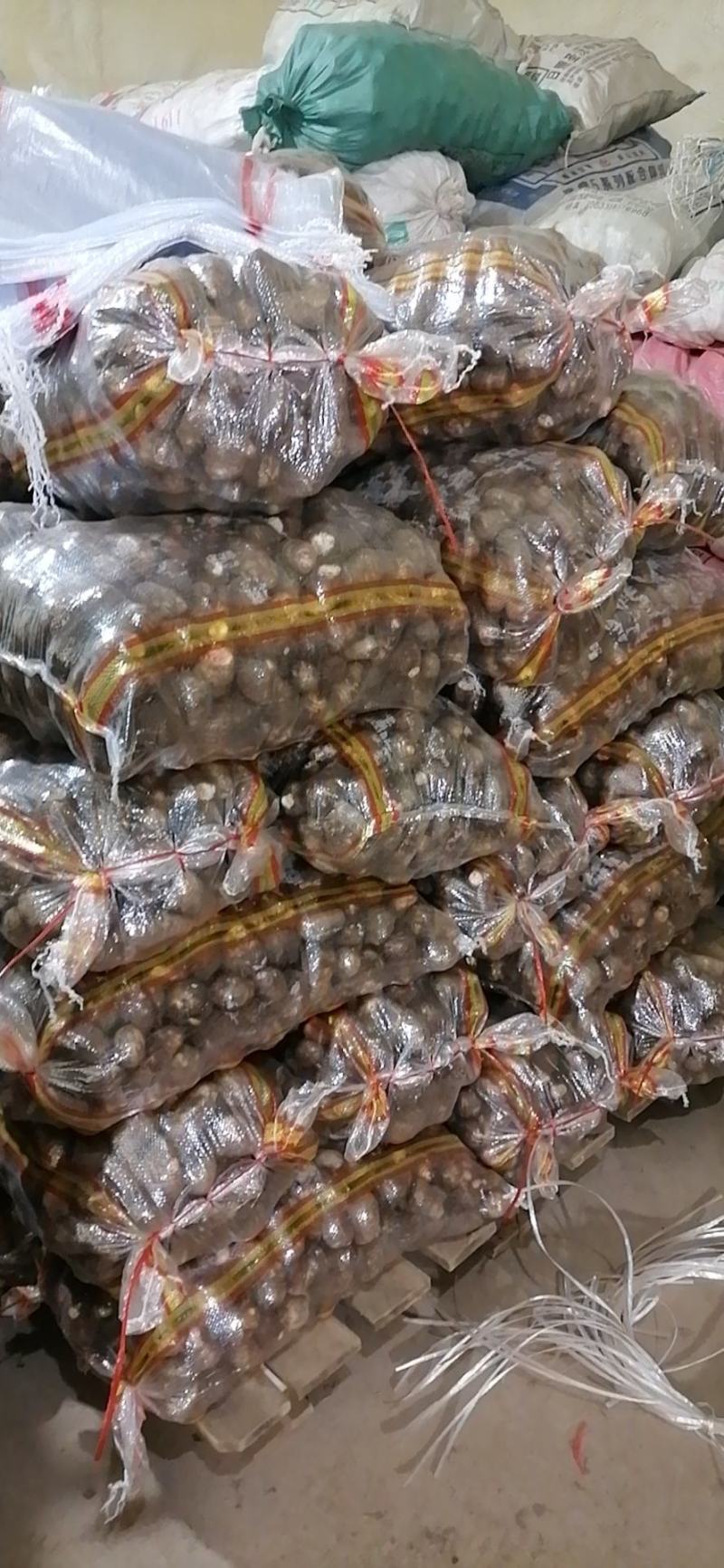 莒县精品芋头，各种分级毛芋头产地直发货量充足量大从优
