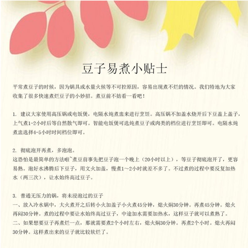 芽豆国产东北明绿豆芽豆中粒黑龙江绿豆发芽率高