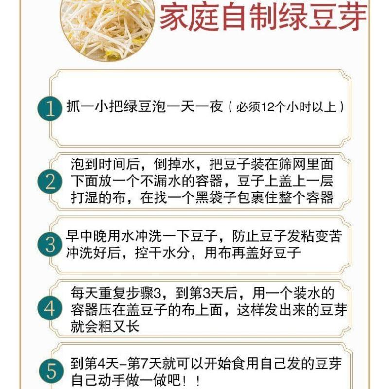 芽豆国产东北明绿豆芽豆中粒黑龙江绿豆发芽率高