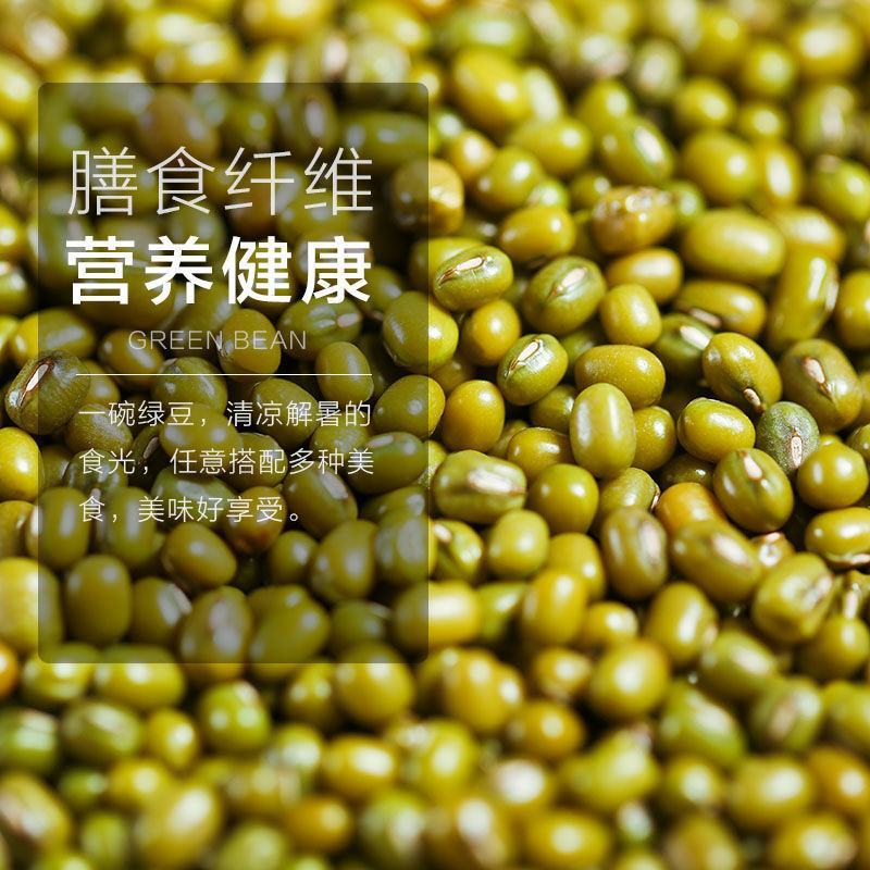 芽豆国产东北明绿豆芽豆中粒黑龙江绿豆发芽率高