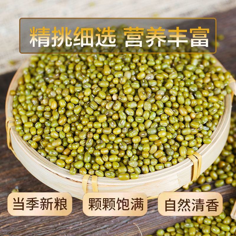 芽豆国产东北明绿豆芽豆中粒黑龙江绿豆发芽率高