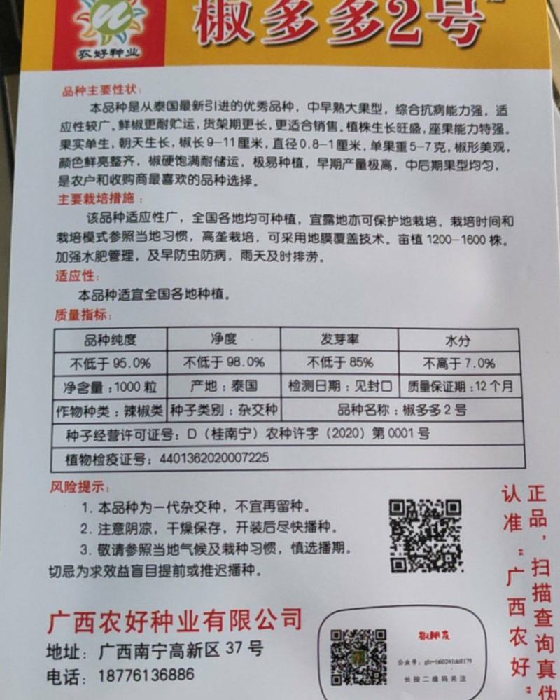 艳红种子，椒多多2号朝天椒种子，全国畅销品种，现在有货