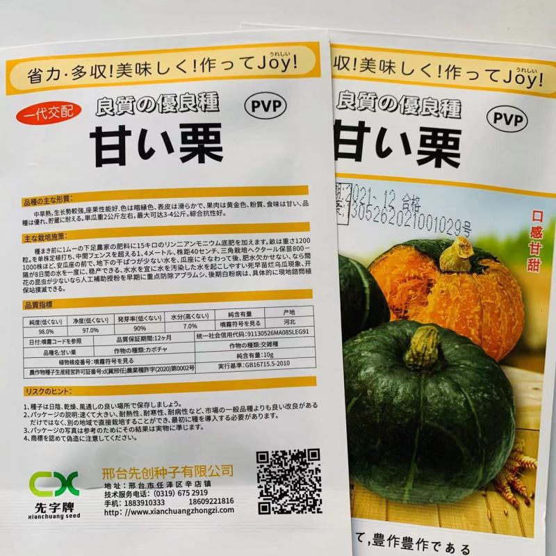 日本一代交配甘栗小南瓜种子板栗南瓜杂交种子粉甜甘面