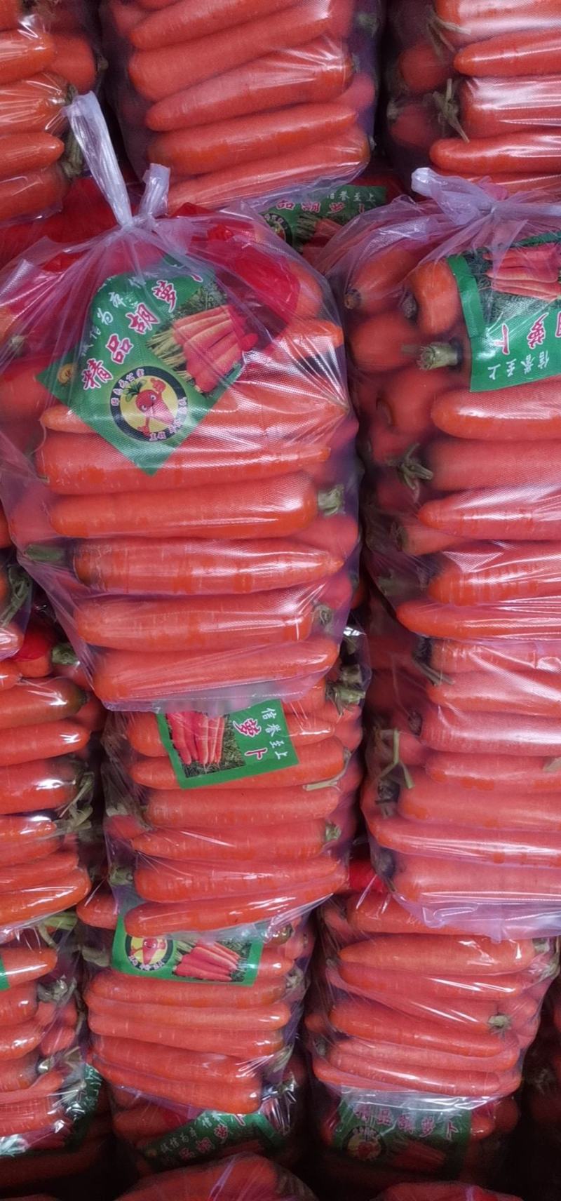 胡萝卜三红红萝卜万亩基地质量保障量大从优视频看货等您来电