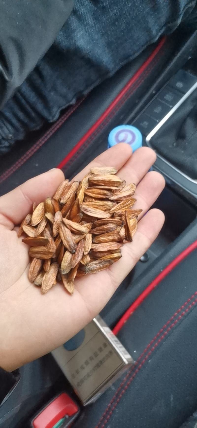 贵州高原喜树果，需要的老板联系，每天能供应一吨以上