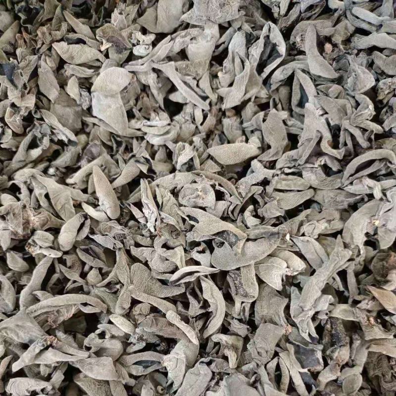 椴木秋木耳，量大从优产地一首货源