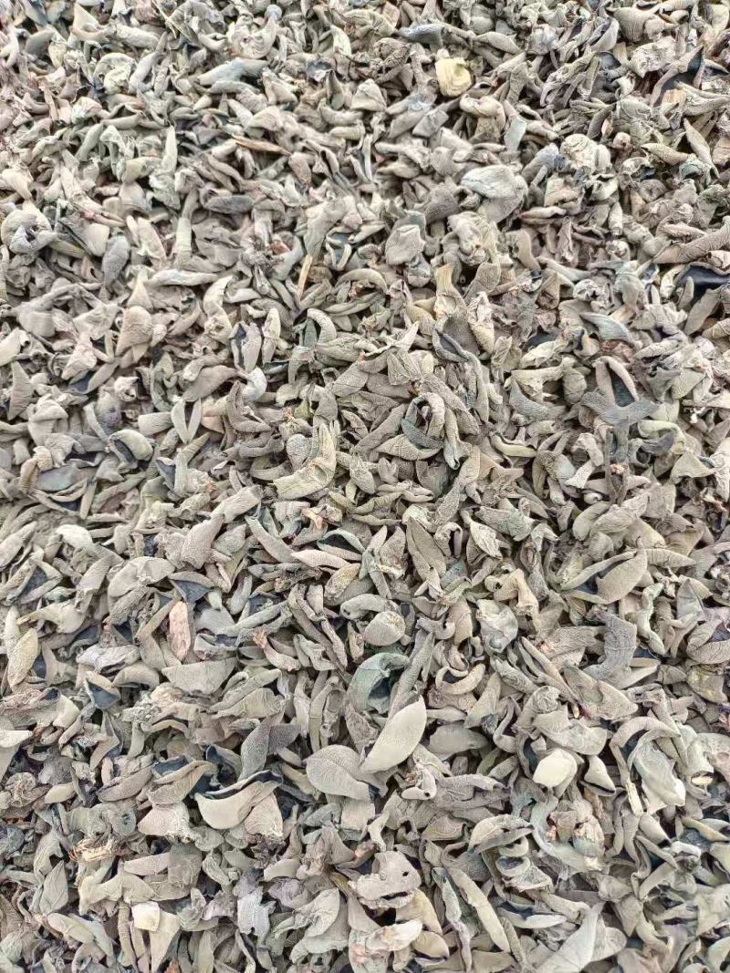 椴木秋木耳，量大从优产地一首货源