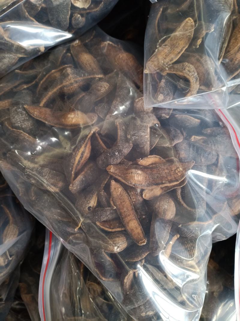 水蛭干中药材蚂蟥干干货宽体金线水蛭质量保证欢迎咨询选购