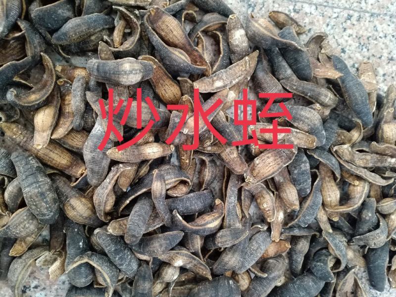 水蛭干中药材蚂蟥干干货宽体金线水蛭质量保证欢迎咨询选购