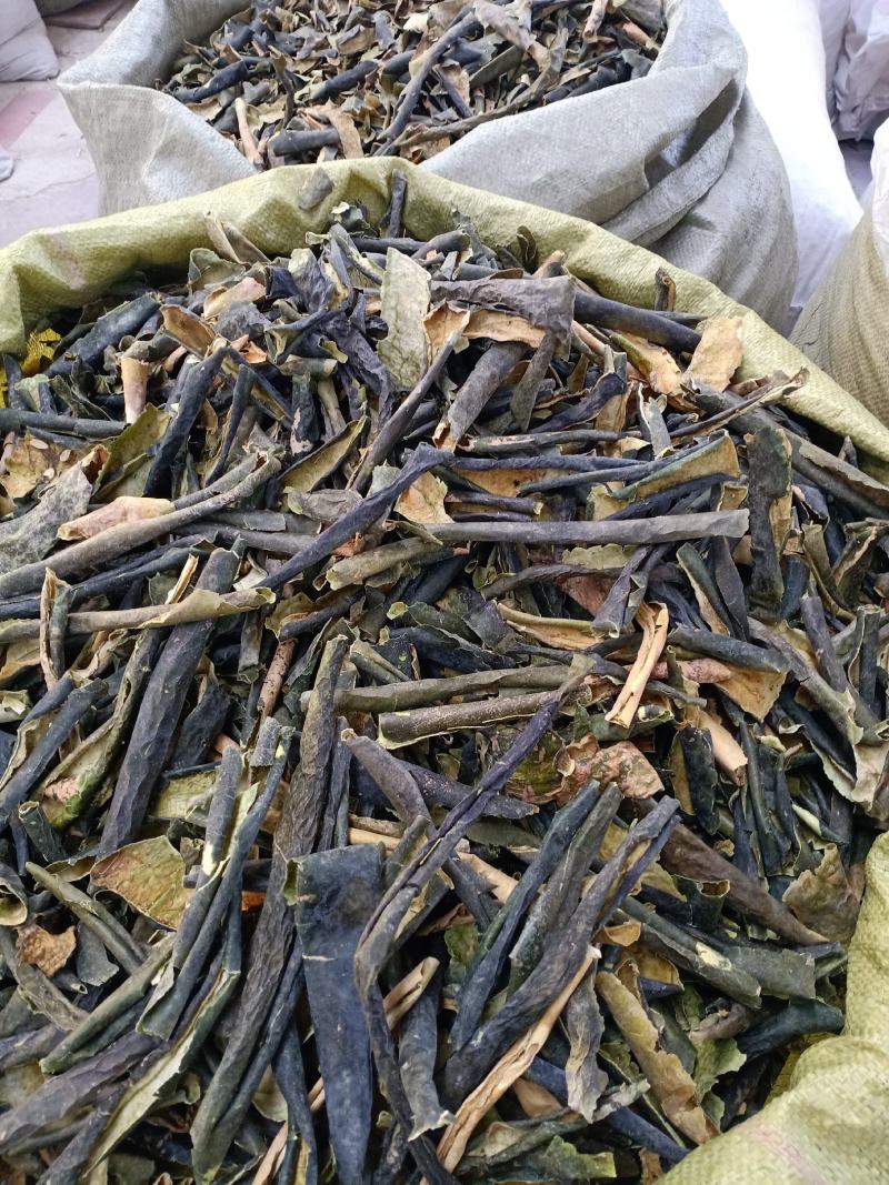 冬瓜皮，绿色冬瓜皮质量保证现货供应欢迎咨询合作！