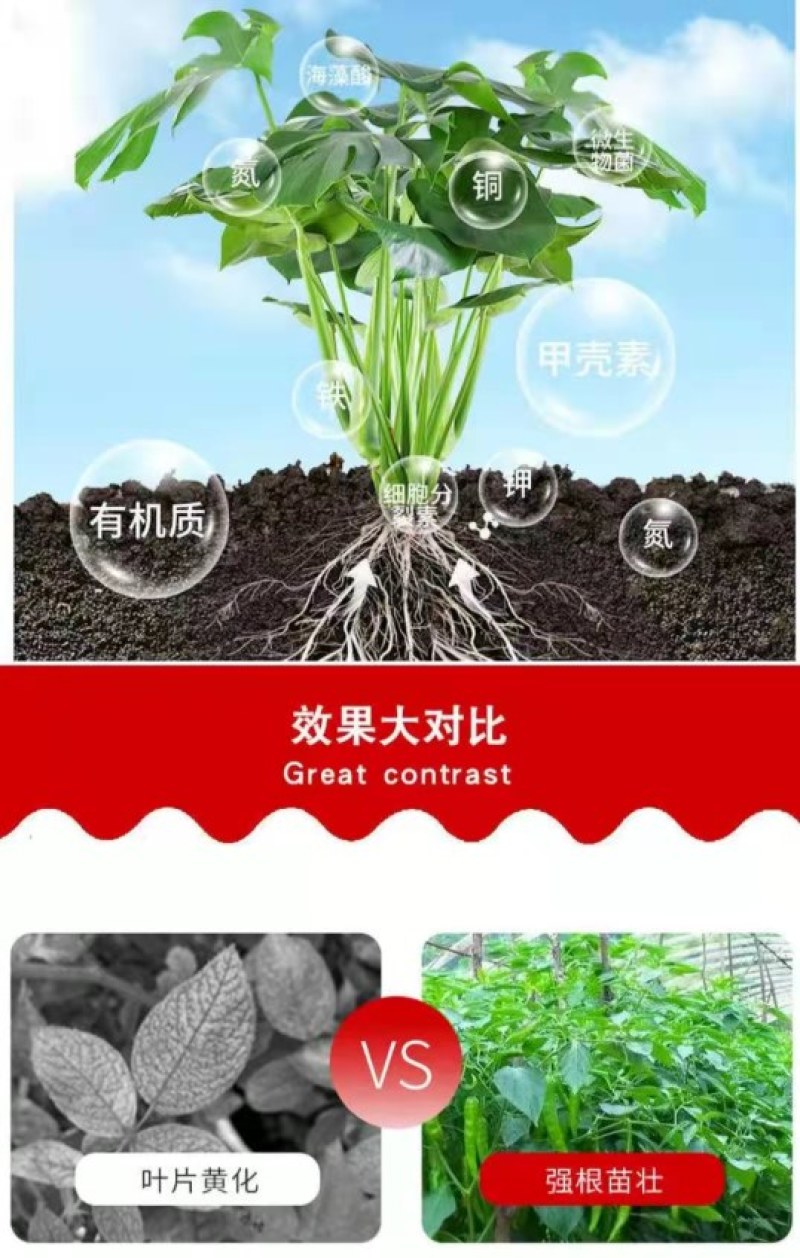 矿源黄腐酸钾冲施肥生根膨果型高钾高钙膨果上色有机水溶肥