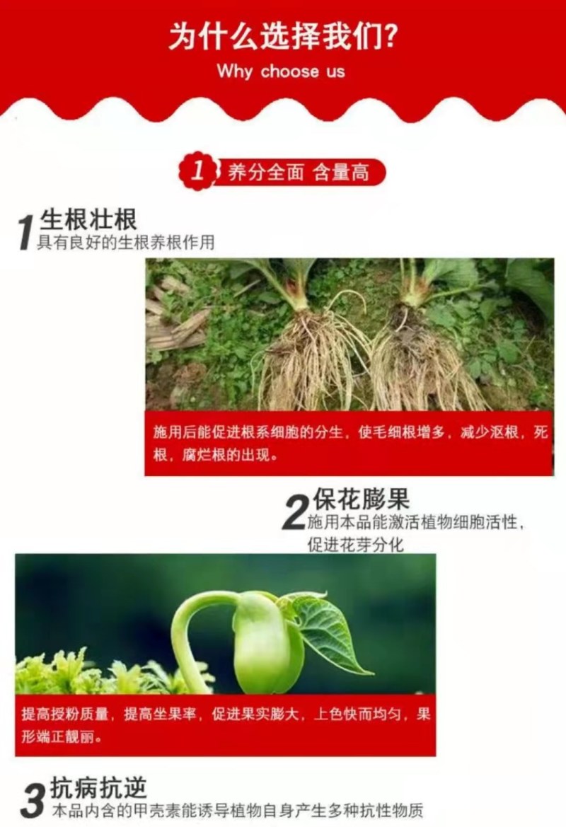 矿源黄腐酸钾冲施肥生根膨果型高钾高钙膨果上色有机水溶肥