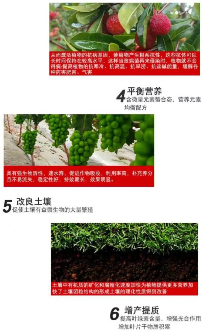 矿源黄腐酸钾冲施肥生根膨果型高钾高钙膨果上色有机水溶肥