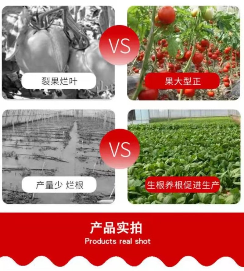 矿源黄腐酸钾冲施肥生根膨果型高钾高钙膨果上色有机水溶肥