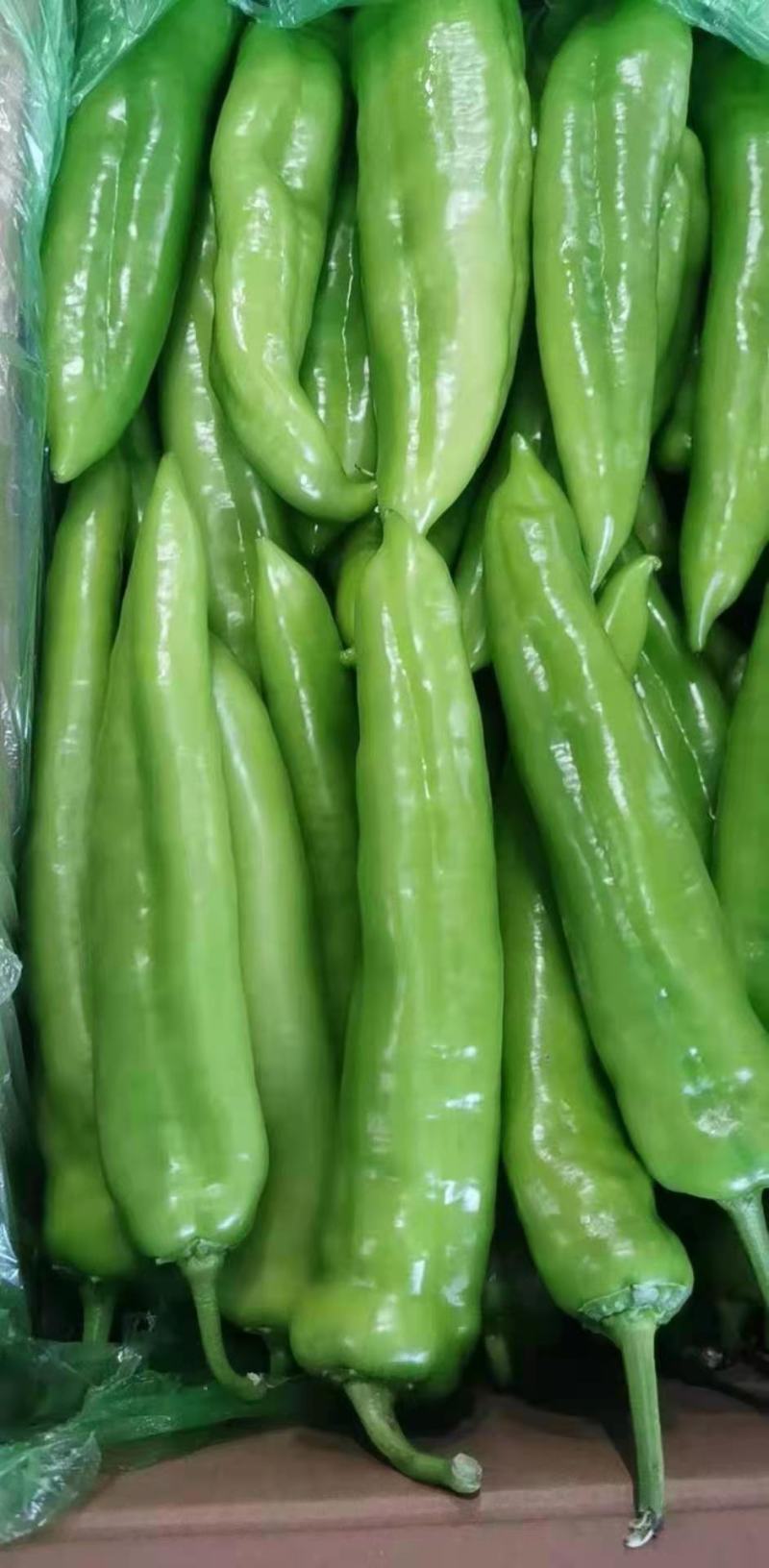 鲜尖椒