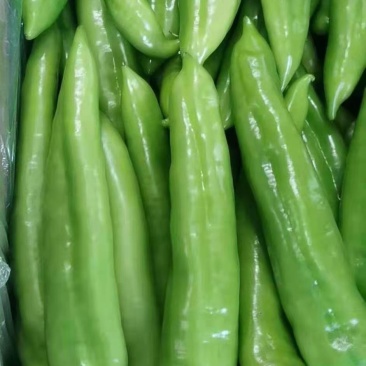 鲜尖椒