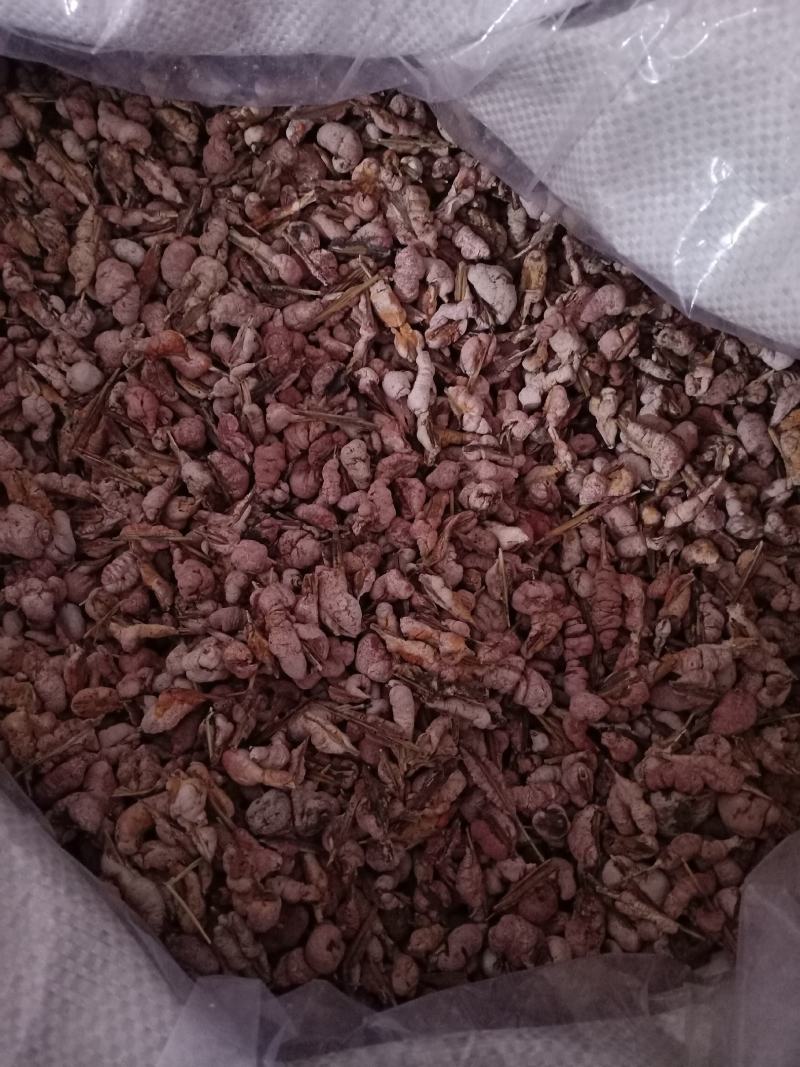 竹黄，竹花野生中药材，质量保证欢迎咨询！经营各种中药材！