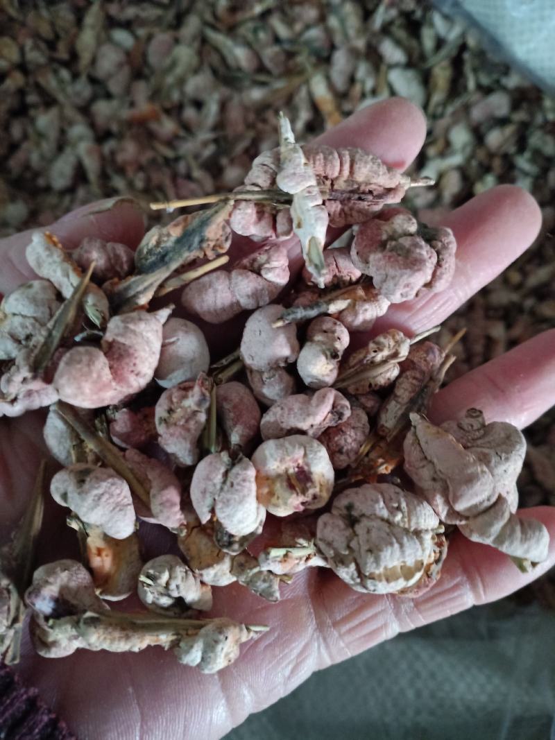竹黄，竹花野生中药材，质量保证欢迎咨询！经营各种中药材！