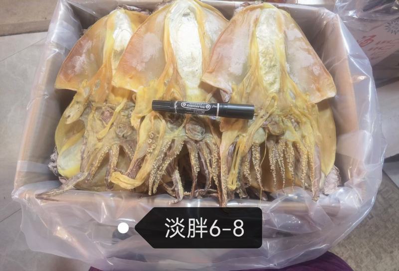 【优质特大】浙江东海本地墨鱼干量大从优千亩晒场产地货批发