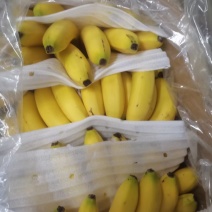 香蕉