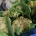 松花菜