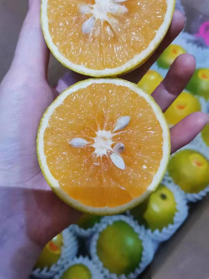 【推荐】海南澄迈福橙！十大名橙！新鲜采摘，一件代发！