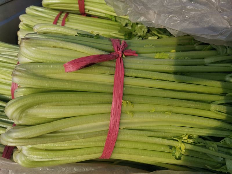 芹菜大量上市中，，大中小棵都有货，全国代发
