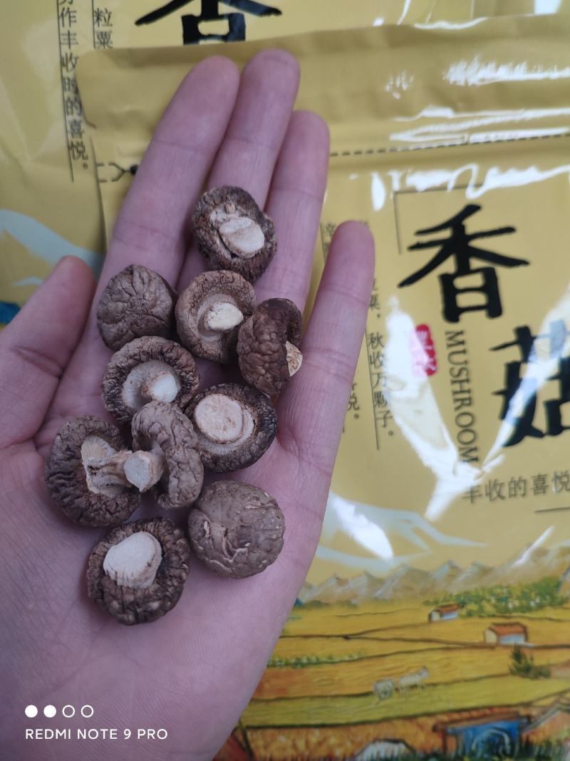 包邮、精选面菇250克、精品包装、泌阳产区直发、