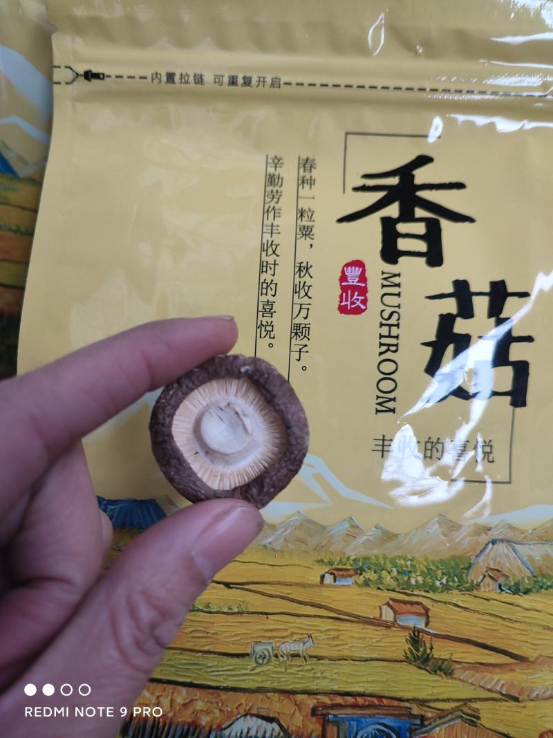 包邮、精选面菇250克、精品包装、泌阳产区直发、