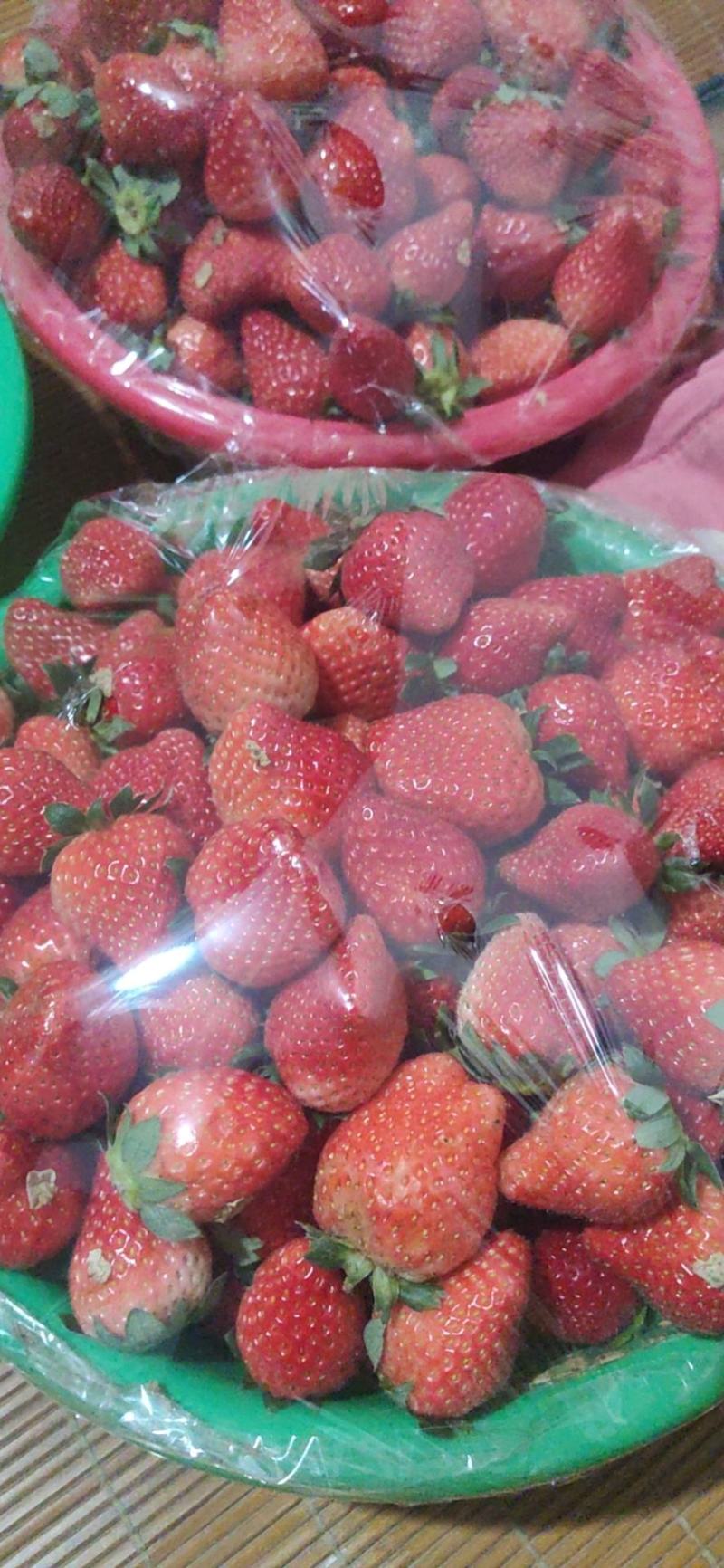 奶油草莓