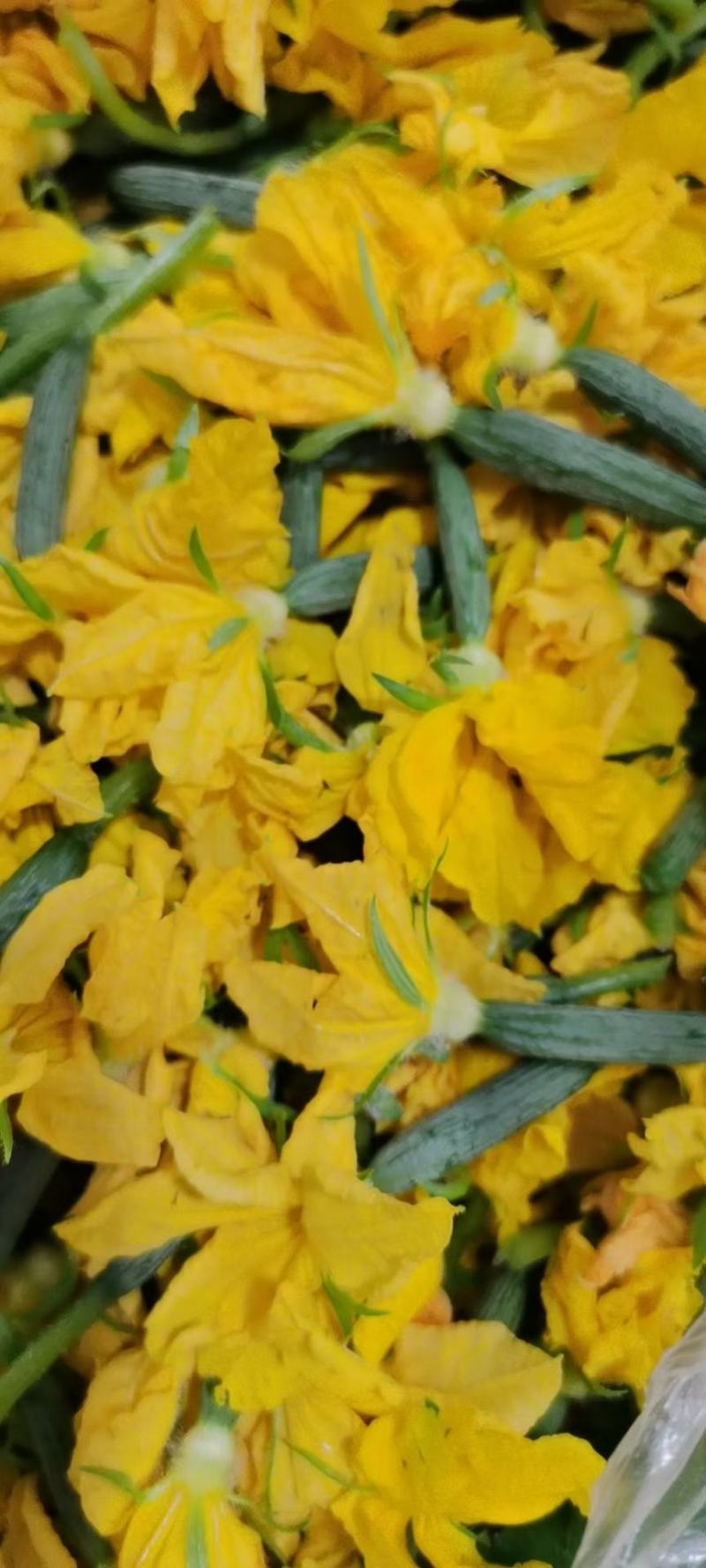 黄瓜花，精品黄瓜花，水果黄瓜花，批发，代发，无刺小黄瓜花