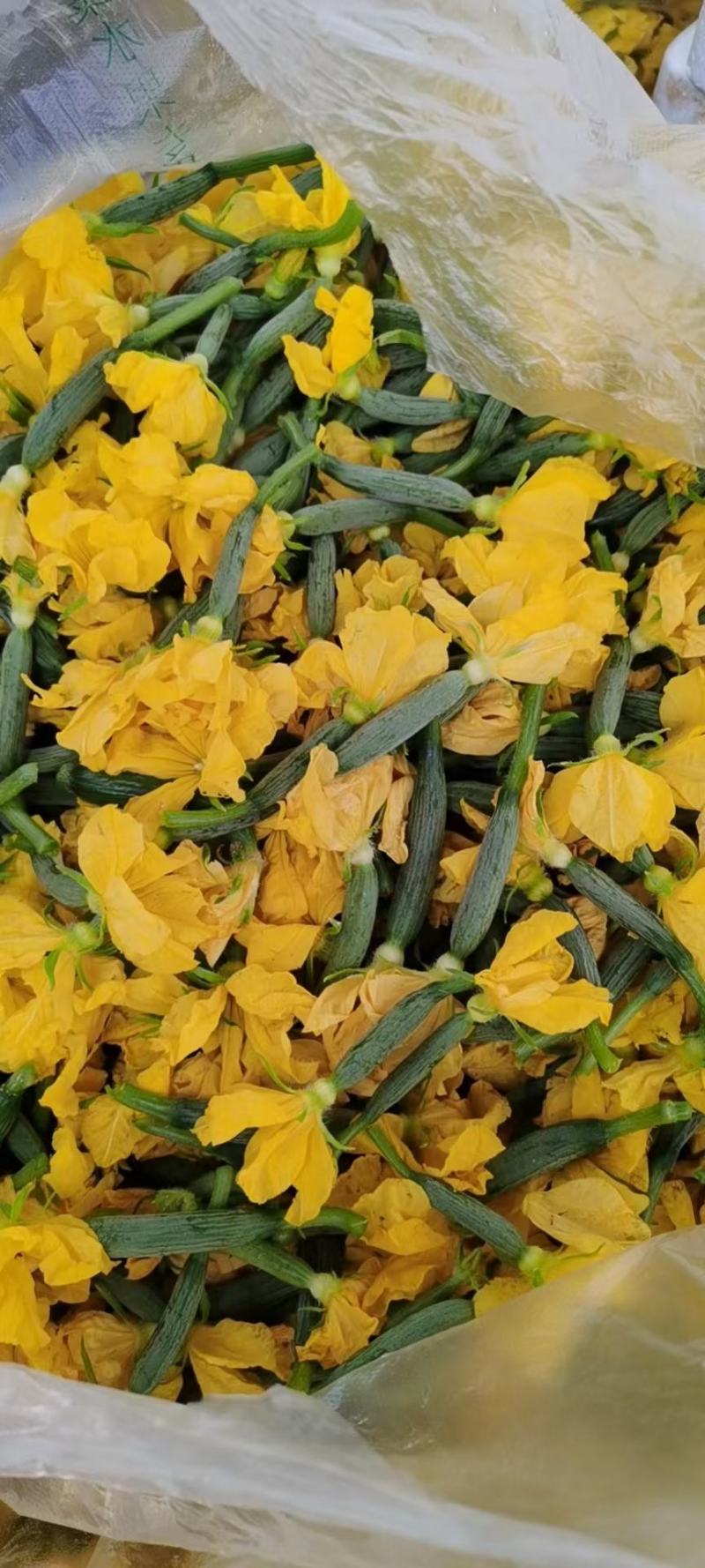 黄瓜花，精品黄瓜花，水果黄瓜花，批发，代发，无刺小黄瓜花